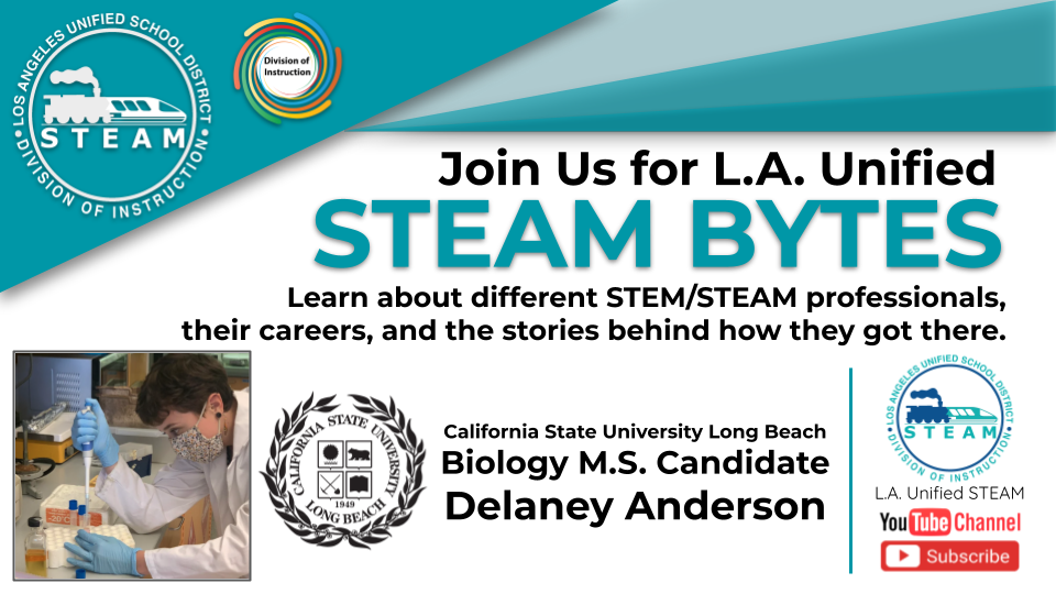 STEAM Bytes Delaney Anderson